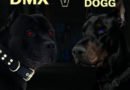 DMX VS SNOOP DOGG SNOOP DOGG VS DMX