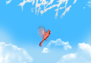 PHAZED  ﻿UNVEILS SOARING NEW SINGLE “CARDINAL”